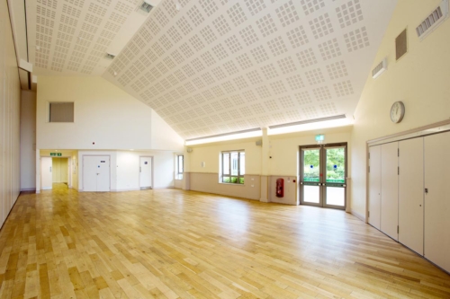 StMartins_PetitBot_2